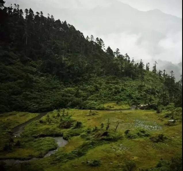 雨季墨脱，赴一场万物签名的盛约