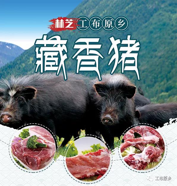 藏香猪冻鲜（预售）